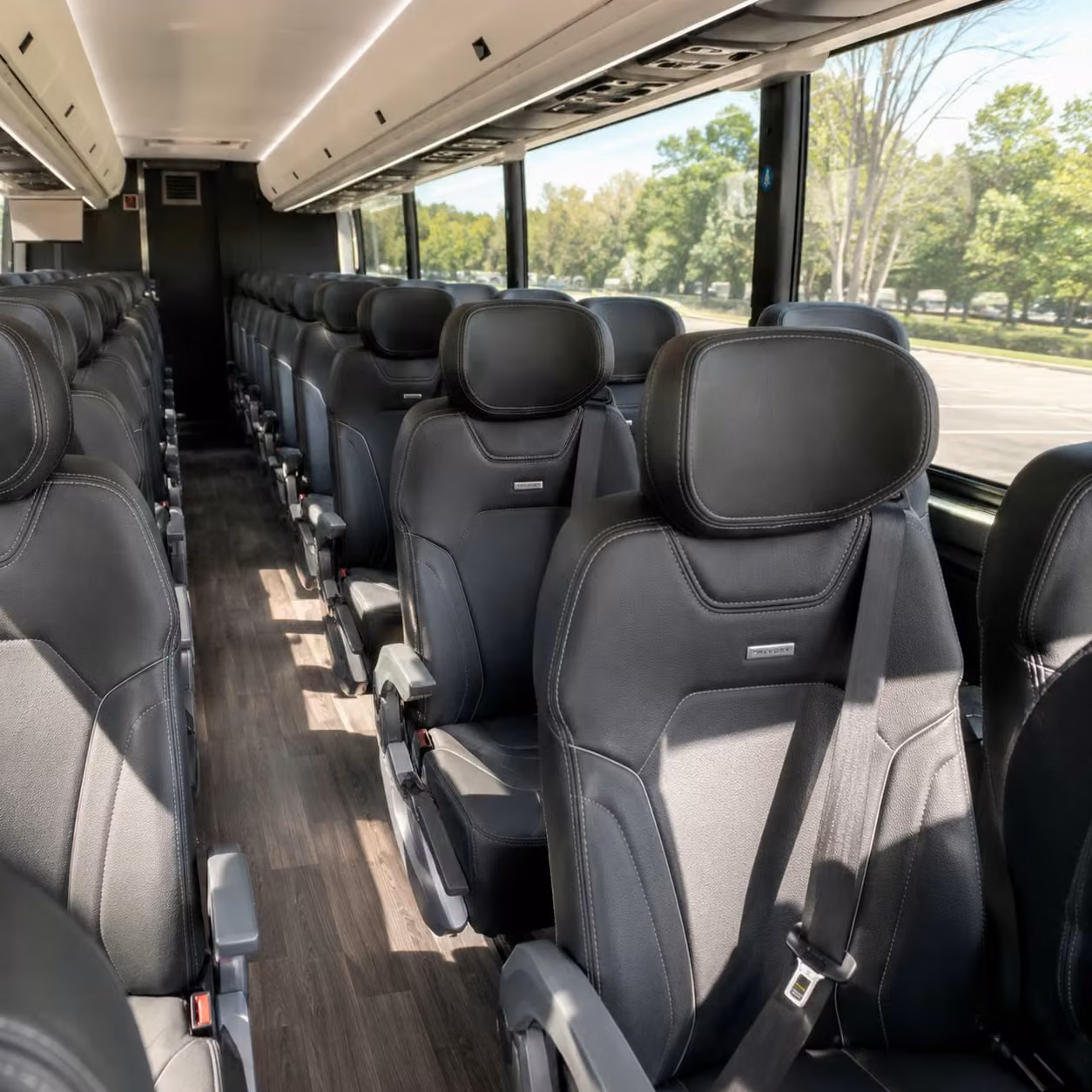 bellevue charter bus rental interior